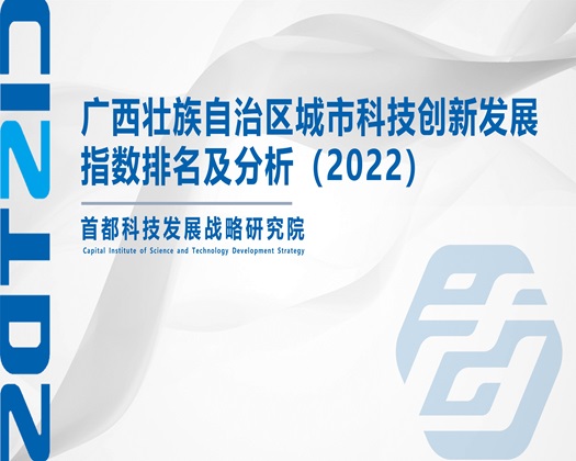 美女捅捅逼逼视频【成果发布】广西壮族自治区城市科技创新发展指数排名及分析（2022）